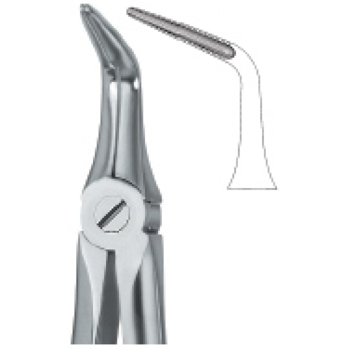 Lower Roots 46