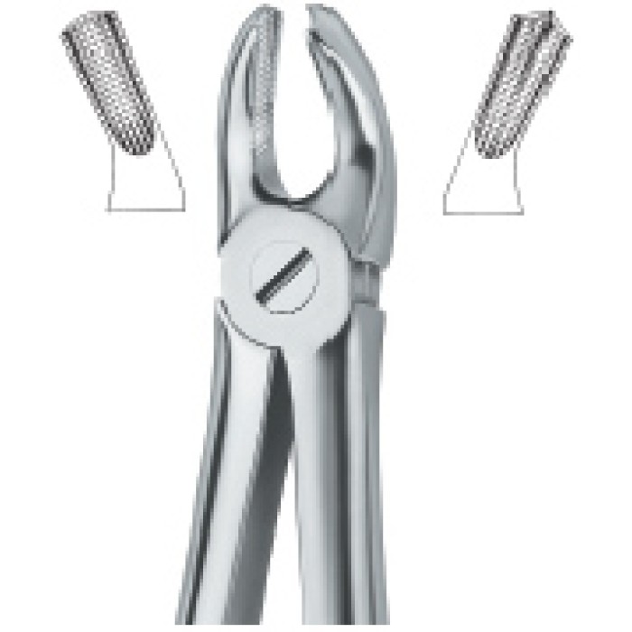 Molars 18